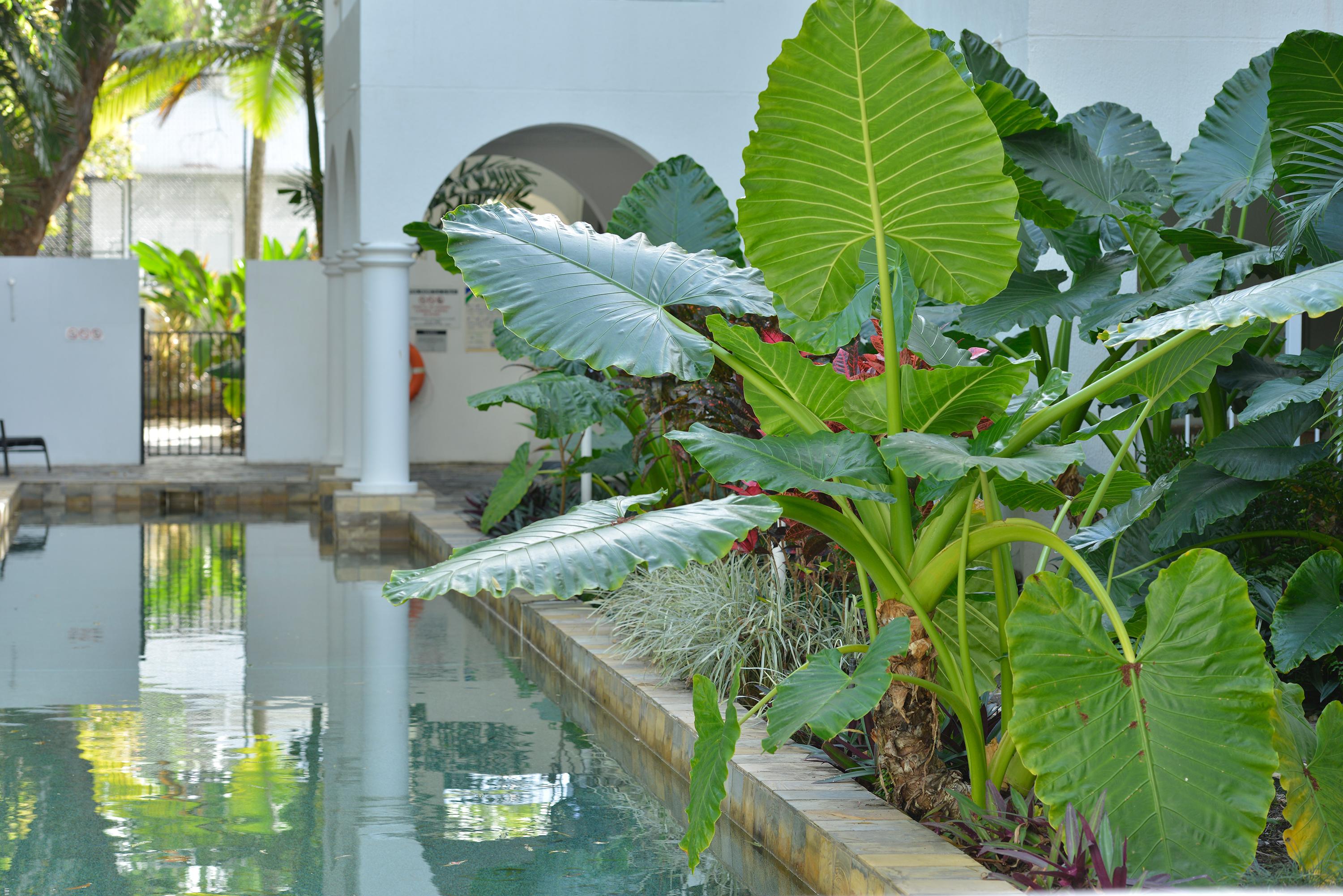 Mantra Portsea Hotel Port Douglas Bagian luar foto